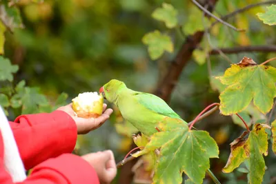 DSC_0507 (Large).JPG